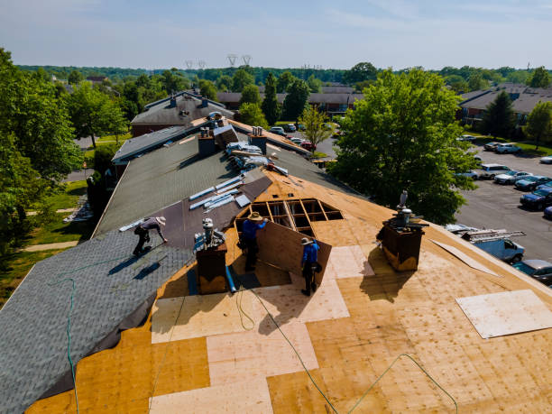 Best Flat Roof Repair Services  in Salem, IL