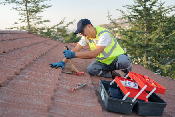Best Roof Leak Repair  in Salem, IL