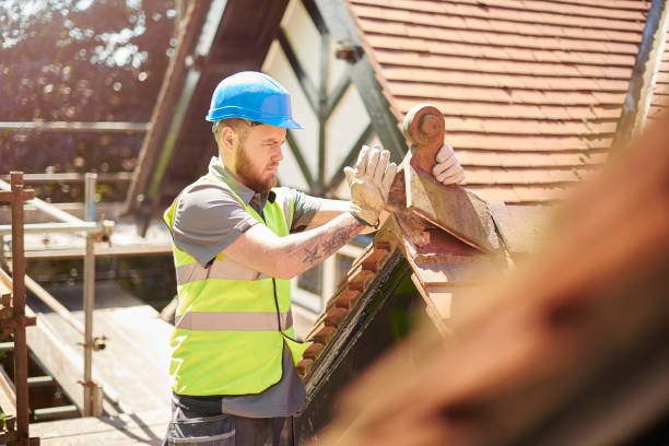 Best Local Roofing Companies  in Salem, IL