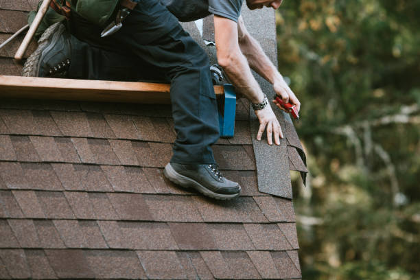 Best Roof Repair Services  in Salem, IL